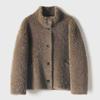 Winter senior high-end fur integrated environmentally friendly fur granular teddy roll fashionable stand-up collar short coat women