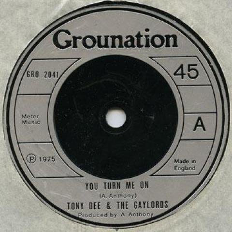 

7-дюймовая пластинка TONY DEE, GAYLORDS - Ты меня заводишь / Faydo Faydo GRO2041 Grounation UK 1975 Ямайка Регги, Ска и Даб
