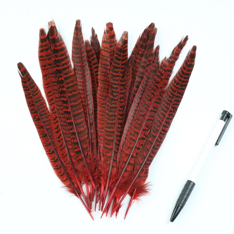 

DIY мать горный куриный хвост перо аксессуары аксессуары сценическое украшение материалы для рукоделия 10pcs