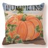Thanksgiving Vintage Pumpkin Collection Digital Printing Short Plush Pillow Covers For Car Sofa Office Cushion Cover Home Goods