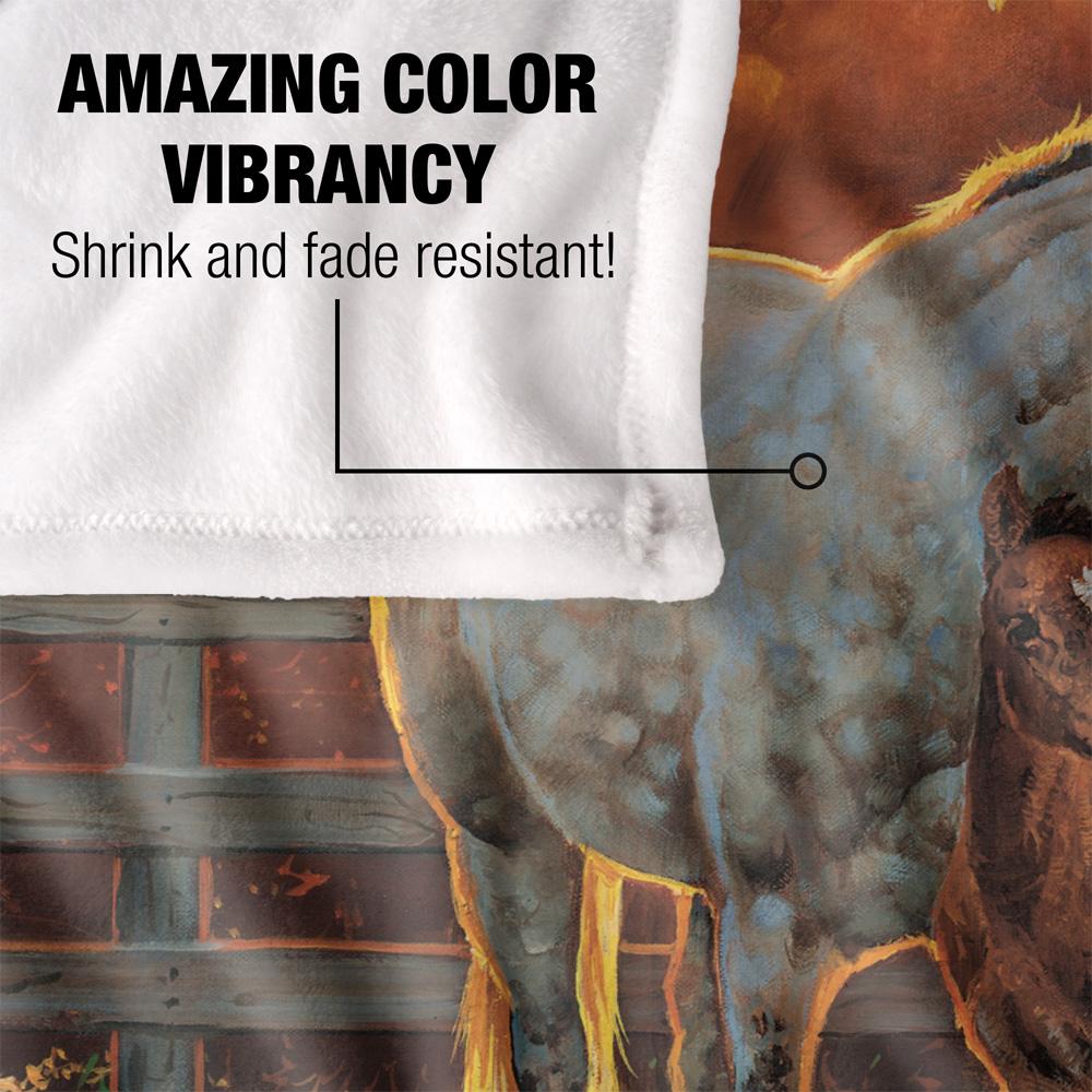 Wild Wings Silky Mother And Child Supersoft Blanket