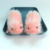Durablity Silicone Piggy Doll Thoughtful Gift for Kids Animals Lover for Bedroom Play Companionship Animal Model