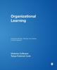 Kniha Organizational Learning : Improving Learning, Teaching, and Leading In School Systems