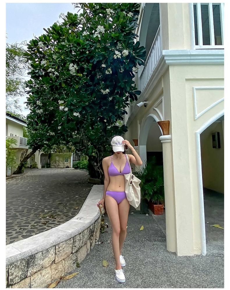 2026 Women's Sexy Pure Desire Two-Piece Bikini for Beach and Resort