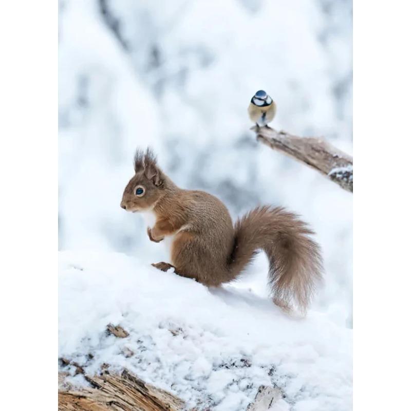 Wall Art Winter Snow Forest Train Deer Squirrel Pine Cone Canvas Painting Posters and Prints for Living Room Home Decor