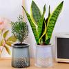 Självvattnande Blomkruka med Dräneringshål och Genomskinlig Vattenbehållare Inomhus Självvattnande Växtkruka för Hemmakontor Dekor