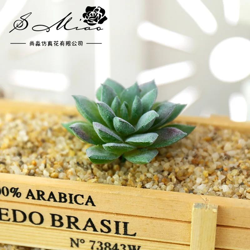 1 st Härliga Konstgjorda Suckulenter Växter för DIY Hem Trädgårdsdekoration Bröllopsväxter Väggblomsterarrangemang Bonsai Falsk Växt