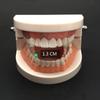 1 Paio Denti da Vampiro Zanne Protesi Oggetti di Scena Costume di Halloween Oggetti di Scena Denti Falsi Colla Solida Adesivo per Protesi Decorazione Festa di Halloween