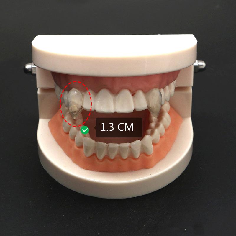 1 Paio Denti da Vampiro Zanne Protesi Oggetti di Scena Costume di Halloween Oggetti di Scena Denti Falsi Colla Solida Adesivo per Protesi Decorazione Festa di Halloween
