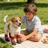 Giyim ve ayakkabı – Köpek ayakkabıları