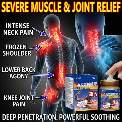 Chinese Herbal Balm for Back Pain Relief Centipede Ointment for Lumbar Disc and Muscle Strain