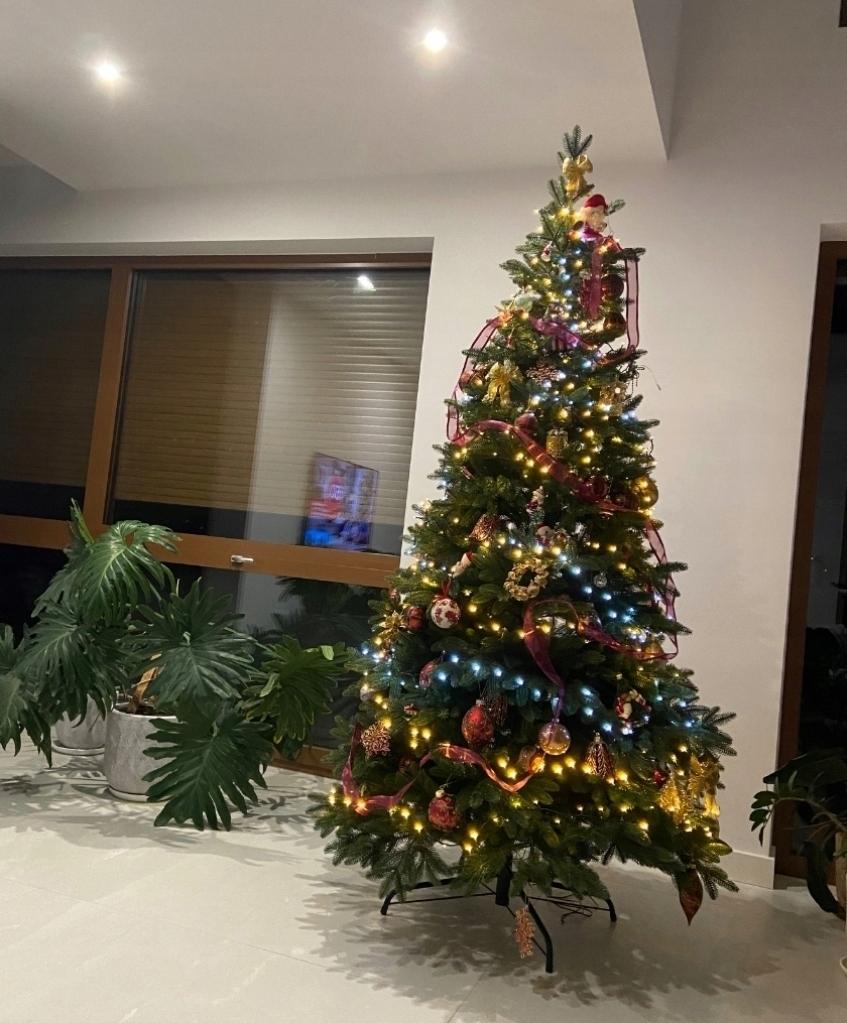 Artificial Christmas Tree 100% Pe Nobiles Fir 2D Small Like A Natural Living Tree