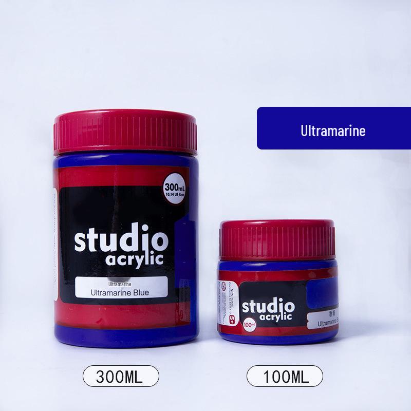 24-Color Acrylic Paint Set: Waterproof, 300ml Cans for Wall, Clothing & Shoes DIY Projects