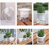 Automatic Water Absorbing Transparent Pot Creative Round Office Desktop Green Plant Hydroponic