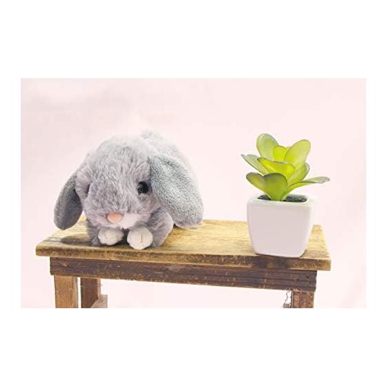 Takeoff Rabbit Maron Lop Ear Gray