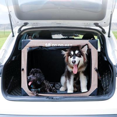 Trasporto e conservazione – Trasporto animali