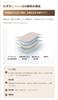 Absorbent Shorts 30ml Seamless Bikini Style Sanitary Shorts for Menstruation and Breathable [FemLily] Discharge, (JP, Alphabet, M, Black)