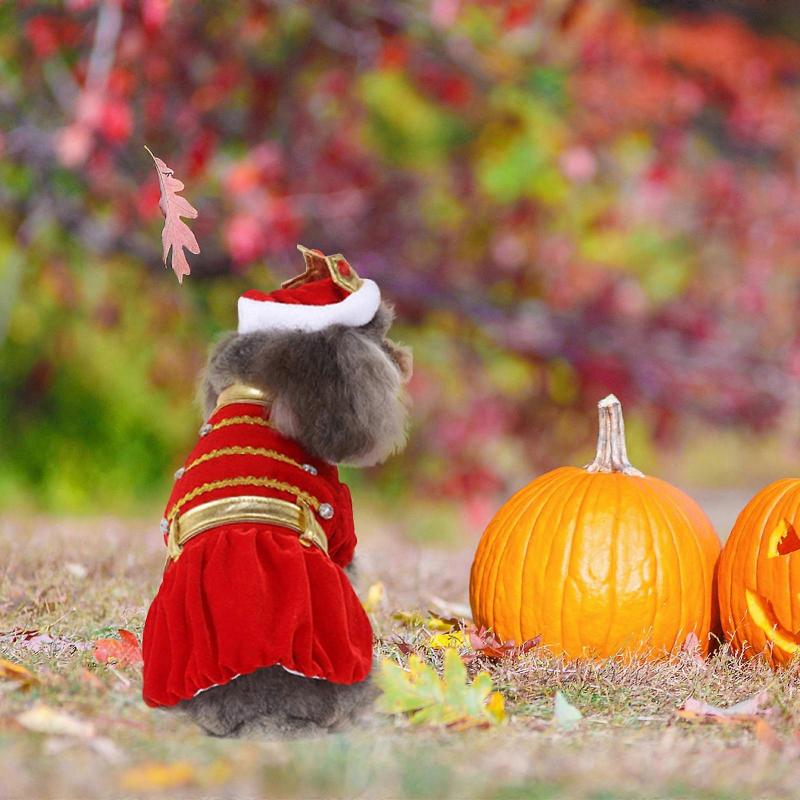Creative Dog Cosplay Costume for Halloween with 3Sets of Pet Garments