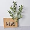 Artificial Olive Branch with Fruit - Green Decorative Plant for Dining Table, Wedding, and Photography Props.