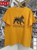 Presente Quente da Banda Soulfly Para Fãs S-235XL LW846 Camiseta Unissex Algodão Oversize Tamanho Grande