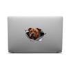 1PC 2D Flat Stickers Pitbull Animal Car Stickers Luggage Refrigerator Wall Stickers Laptop Toilet Stickers