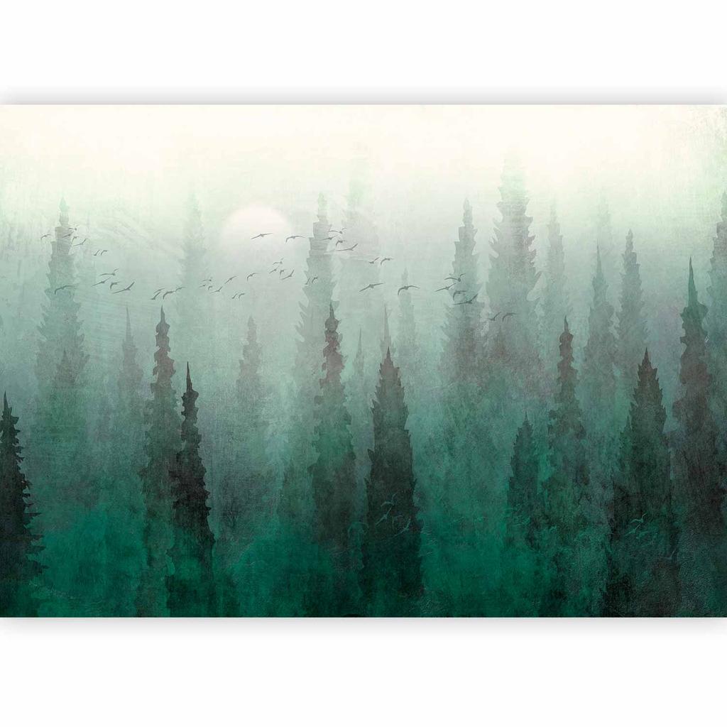 Wallpaper - Bird's-Eye View - Landscape of a Green Forest with Trees In Fog