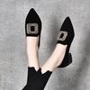 Pointed Women's Single Shoes Spring New Black Sheepskin Thick Heel Low Heel Shallow Mouth Women's Shoes Metal Square Buckle
