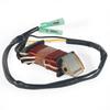 3P0-06023-0 Charging Coil For Tohatsu 25HP & 30HP Models: M25C3, M25C, M25C2, M30A3, M30A4,3P0060230
