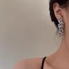 Metal Silver Cold Wind Personalized Silver Needle Earrings Niche Design High Sense Spice Girl Temperament Earrings