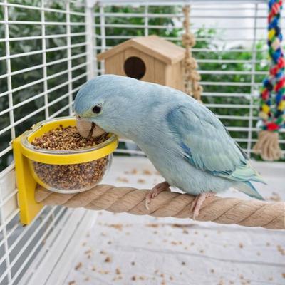 Wear-resistant Bird Cage Feeder Interactive Non-slip Bird Feeding Cup Paw Grinding Bird Perch Stand Pet Bird Supplies