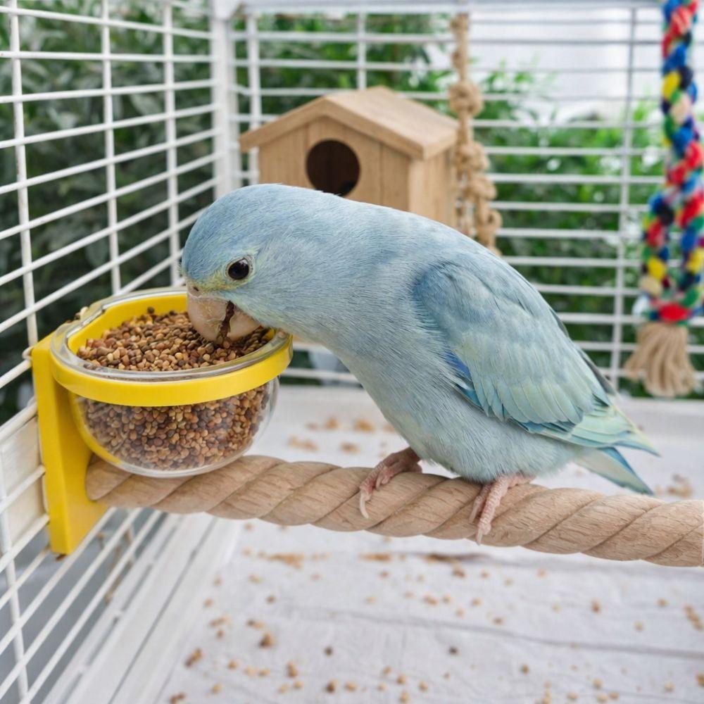 Paw Grinding Bird Feeding Cup Wear-resistant Bird Perch Stand  Pet Bird Supplies