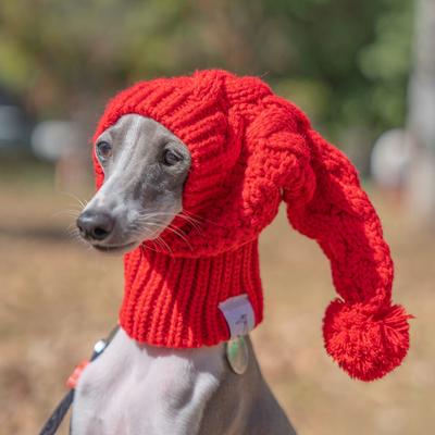 Whippet Winter Woolen Hat Red Pet Hat Italian Greyhound Christmas Gift With Fur Ball Dog Hat