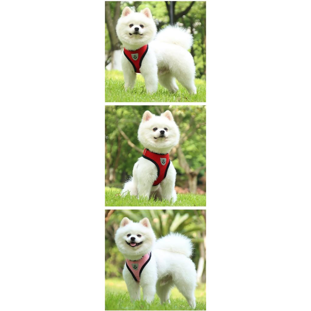 Adjustable Dog Harness Vest Leash Set Outdoor Walking Lead with Collar Pet Safety Strap