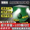 Solar Animal Repeller & Alarm Light
