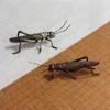 Creative New Animal Insect Decor Bronze Grasshopper Teapot Lid Holder Alloy Kung Fu Tea Pet Home Garden Decoration 3D Ornament