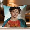 Hot T-Ttimothee Chalamet Cushion Cover Soft Washable Pillow Case Multi-Scene For Couch Bed Travel Office Use