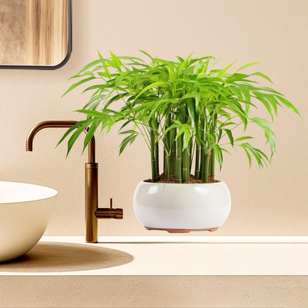 Bamboo Leaves Green Plant Wall Stickers, Removable Waterproof Self-Adhesive PVC Decals for Living Room Bedroom Bathroom Home Decor