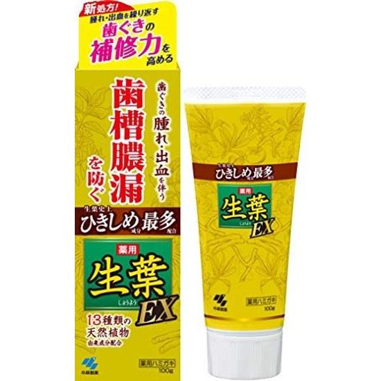 Shoyou EX Medicinal Toothpaste Preventing Periodontal Disease Herb Mint Flavor 100g Quasi-Drug