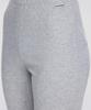 Lebenjamin (W) Leggings 401 Grey Melange
