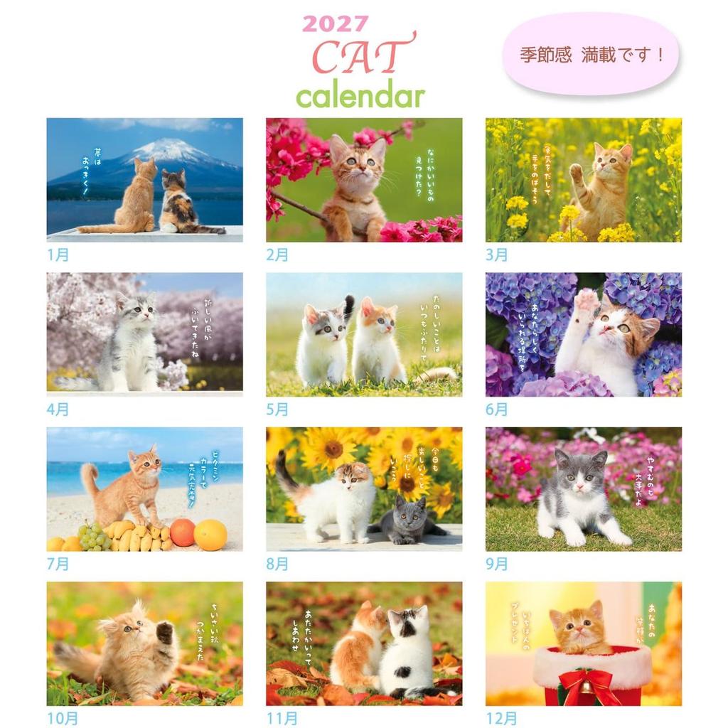 Active Corporation 2027 Desktop Calendar Little Cat 27ACL-537 Cute Cat Theme Sunday Start Made in Japan