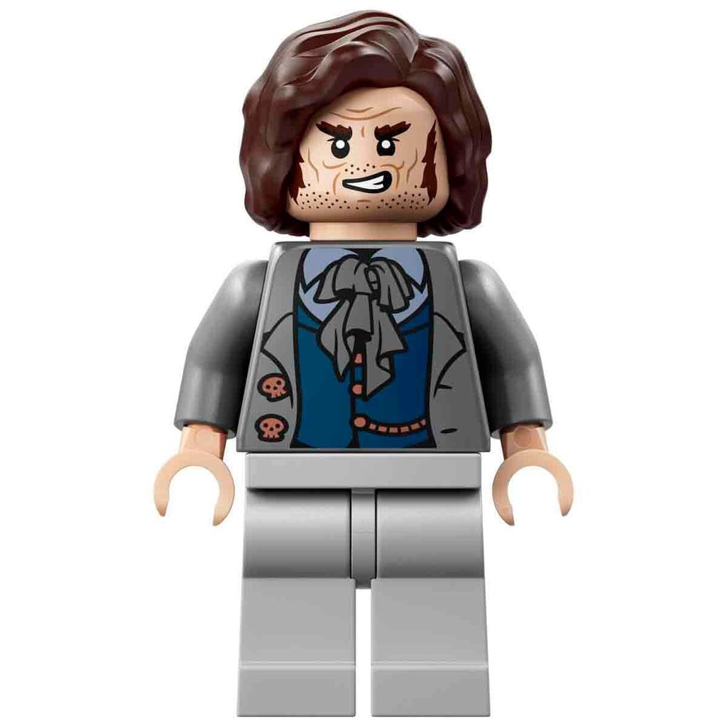 LEGO Harry Potter Dark Alley Shops Toy Set - Birthday Present, Building Blocks, for Boys and Girls, Ages 8, 9, 10, Elementary School Students, Harry P