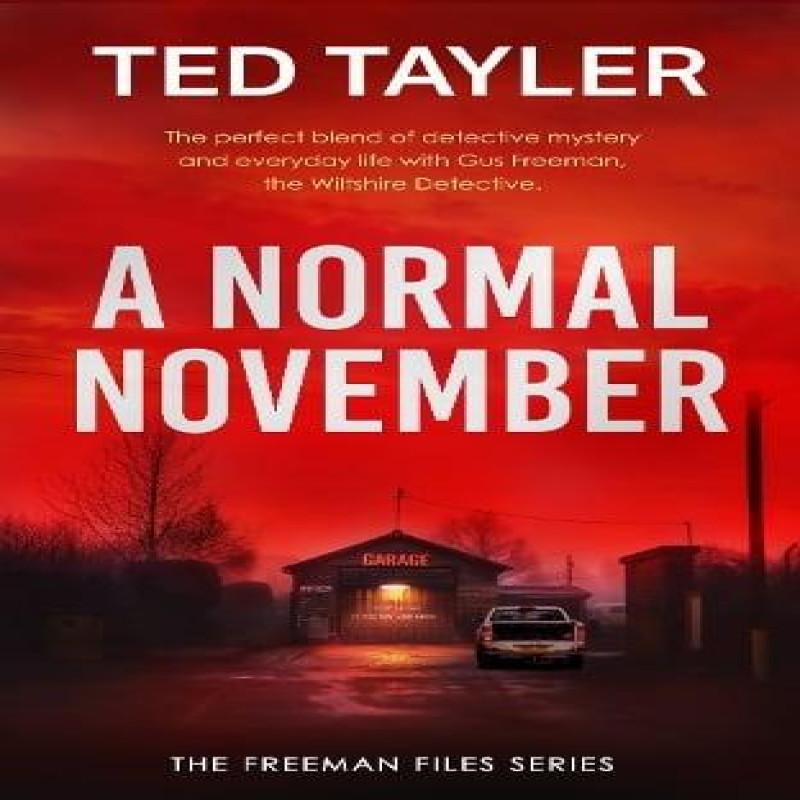 A Normal November by Ted Tayler Paperback Book 9781036705015