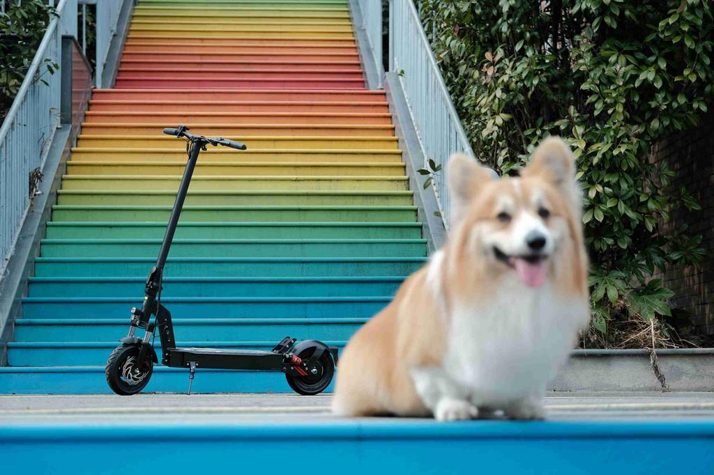 Trotinete Elétrica para Adultos DriveTron DT08, 25 mph, Autonomia de 37 Milhas, 48V 13Ah 500W, Freio a Disco Dianteiro + EABS, IPX5