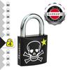 Master Lock Key Padlock with Skull Printed, 53x30x15 mm