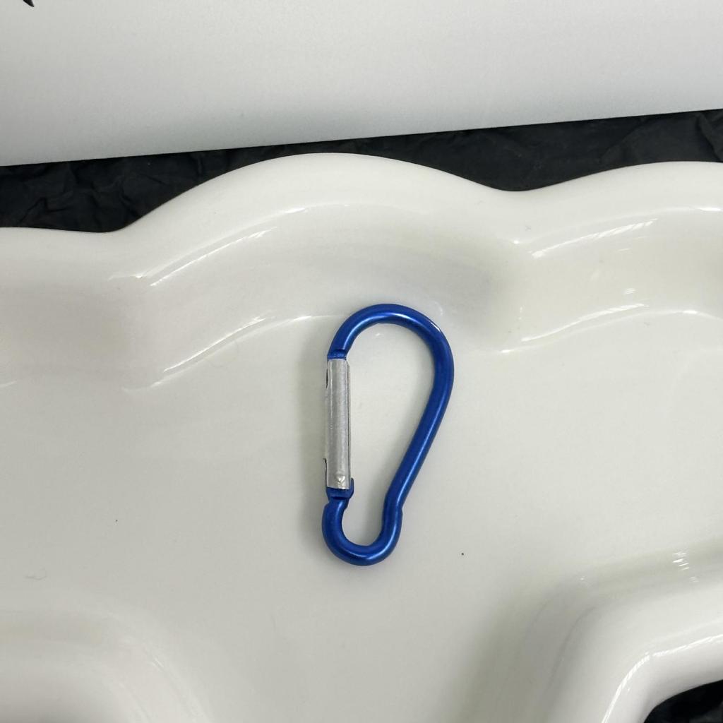 Colorful Miu-Style Carabiner Bag Charm Keychain Ring Spring Hook Jewelry Accessory