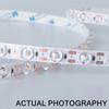 24V LED Strip Light 12mm 48LEDs/M Flexible Rope Light SMD with Lens Self-Adhesive Tape for Bedroom Mirror DIY Home Decoration