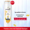 Pantene Szampon Przeciwłupieżowy Lotion Naprawczy