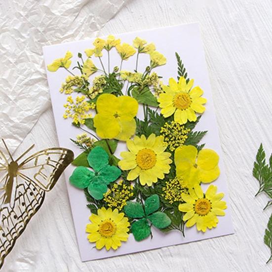 1 Set Dried Pressed Flowers Kit Colorful Natural Flowers DIY