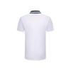 ASICS Breathable Quick-Dry Polo Shirt Men tops 2041A404-100