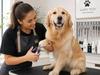 Professional Stainless Steel Pet Nail Clipper | Heavy-Duty Grooming Tool for Dogs & Cats | Ergonomic Design